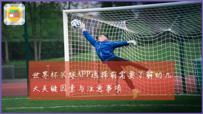 世界杯买球APP选择前需要了解的几大关键因素与注意事项