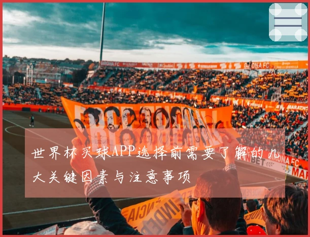 世界杯买球APP选择前需要了解的几大关键因素与注意事项