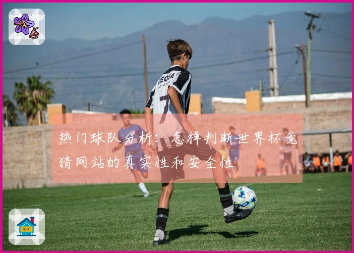 热门球队分析：怎样判断世界杯竞猜网站的真实性和安全性