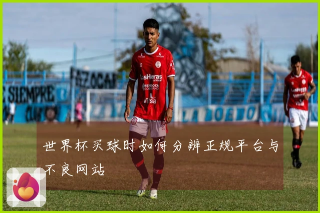 世界杯买球时如何分辨正规平台与不良网站